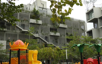 Cuc Phuong National Park: A perfect holiday getaway to immerse yourself in ‘butterfly forest’