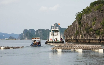 Vietnamese province suspends four environment inspectors over illegal household aquaculture