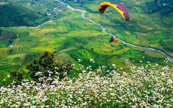 100 paragliders participate in festival in northwestern Vietnam