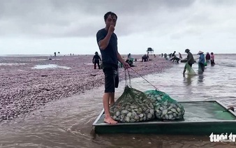 Dozens of tons of clams pushed ashore by typhoon in Vietnam