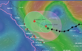 Storm Nesat downgrades to tropical depression, downpours to lash north-central Vietnam