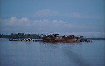 Illegal sand mining in Vietnam's Mekong Delta raises alarm