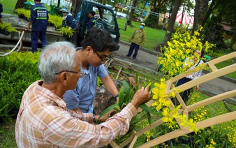 Preparations for Ho Chi Minh City’s annual spring flower festival near completion