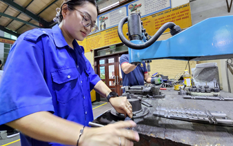 Vietnam sees steep decline in hiring of foreigners, overseas Vietnamese