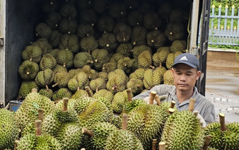 Vietnam eyes $6bn in veggie, fruit exports this year
