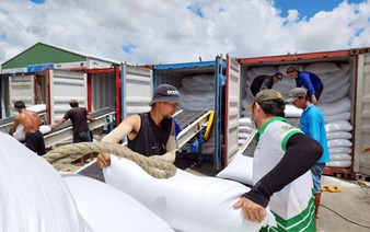 Vietnam’s export rice prices reach record high