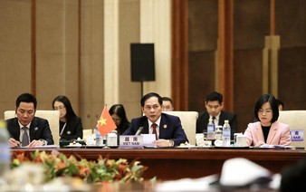 Vietnam puts forward 4 key pillars for Mekong-Lancang Cooperation