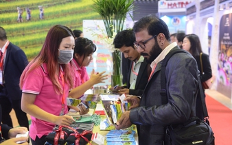 Vietnam most Googled travel destination for Indians: report