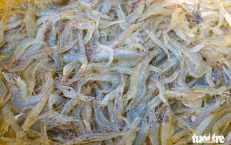 Kien Giang fishing grounds bustle with preparations for Tet