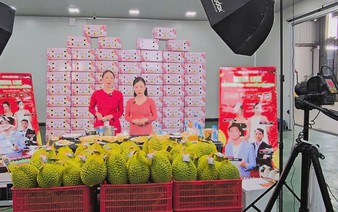 E-commerce amateur sellers face major hurdles in Vietnam