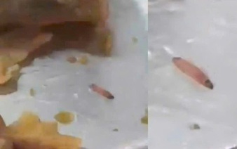 Student finds live larvae in lunch at Ho Chi Minh City int’l school