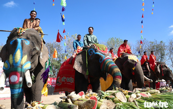 Tourists excitedly watch elephants enjoy fruit buffet in Vietnam’s Dak Lak