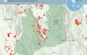 'It's gone': conservation science in Thailand's burning forest