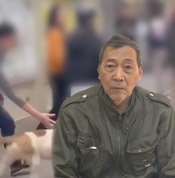 Thả chó cắn hàng xóm ở Hà Nội: Hai cha con chủ chó bị tạm giữ hình sự