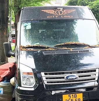 Cận cảnh ô tô đậu nhiều năm bên đường, thành nơi để đồ đạc và bỏ rác ở Tân Phú