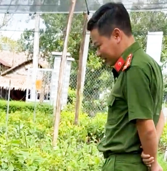 Vụ đòi cơ sở cây giống có 'chứng chỉ ghép cây': Sở Nông nghiệp và Môi trường tỉnh Hậu Giang nói gì?