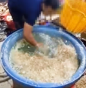 Cận cảnh quy trình sơ chế bắp chuối bằng hàn the và chất tẩy trắng không rõ nguồn gốc