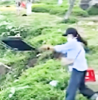 Người phụ nữ khai lý do ném ghế xuống vực ở bán đảo Sơn Trà