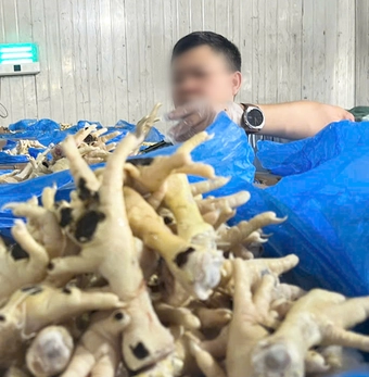 Bắt giám đốc và nhân viên liên quan vụ doanh nghiệp tuồn 10.000 tấn chân gà 'bẩn' ra thị trường