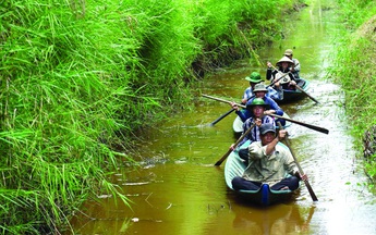 Những thợ rừng hiện đại ở rừng U Minh