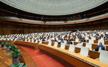 Nghị trường "êm đềm": chuyên nghiệp hay ít phản biện?