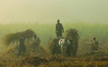 Lại một năm mờ mịt vì ô nhiễm không khí