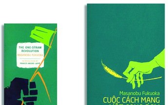 10 năm từ cọng rơm tới những khu vườn rừng: Ngộ nhận, vỡ lẽ và chuyển hóa