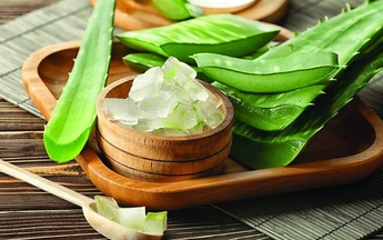 Nha đam và tin đồn trị ung thư