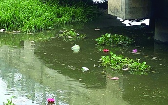 Tối đèn sáng rác "giữa đường phố hoa đèn"