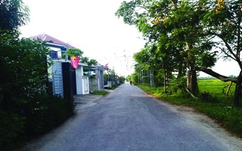 Các khoản thu từ đất: trồng khoai để ăn củ hay ăn lá
