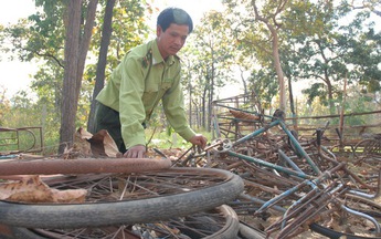 Xe đạp thồ... vận chuyển gỗ lậu