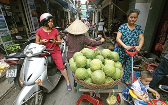 Người Hà Nội trong ngõ