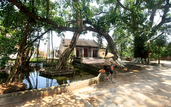 Quà biếu trên đường về quê