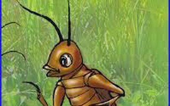 Tiếng “roong” của tuổi thơ