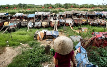 “Làng mắc cạn” trên sông Hồng