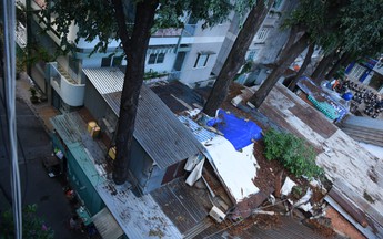 Những ngôi nhà "ôm" cây cổ thụ