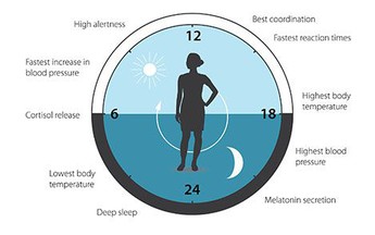 Giải Nobel Y sinh học 2017: Một nhắc nhở về “duyên khởi”