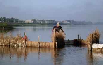 Mùa ký ức trên dòng Trà Giang
