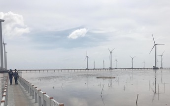 Năm 2018: Cần hành động để "bức tranh môi trường" sáng hơn 
