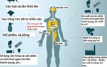 Cảnh báo phơi nhiễm chất độc từ các vụ hỏa hoạn