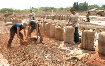 Kho tàng nghệ thuật truyền thống: Những hóa thân trong cuộc sống đương đại