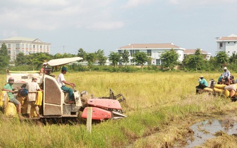 Truyện ngắn dự thi văn học tuổi 20: Tơ rơi