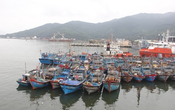 ​Khi tin tức là thứ yếu