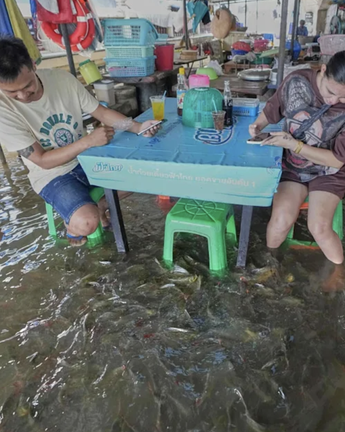 Nhà hàng Thái thành 'hiện tượng' khi khách vừa ăn vừa bị cá rỉa chân