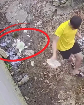 Thanh niên đứng hình với màn 'vẩy rau' lỗi