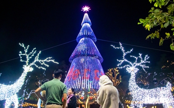 Churches in Da Nang draw crowds as Christmas lights switch on