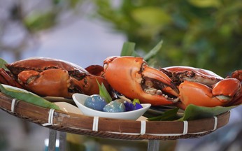 Unique Ca Mau crab dessert blends sweet and savory flavors