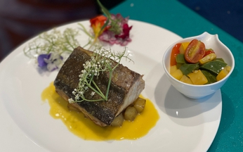 Taste of Australia 2025 celebrates culinary innovation, Australia-Vietnam connections
