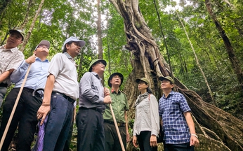 Vietnam province aims to promote Kon Ka Kinh National Park as global ecotourism destination