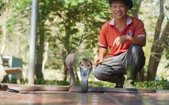 Foreign tourists embrace snakes for photos at snake farm in Vietnam’s Dong Thap